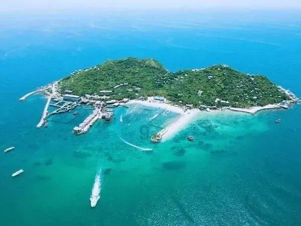 解疑答惑,尽在“水门事件”记者曝特朗普淡化疫情:这就是个悲剧——“水门事件”记者曝特朗普淡化疫情:这就是个悲剧专业问答平台